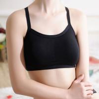 Korean style new sexy bow wrapped chest bra modal fabric lace butterfly sling wrapped women tube 1