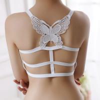 Korean style new sexy bow wrapped chest bra modal fabric lace butterfly sling wrapped women tube